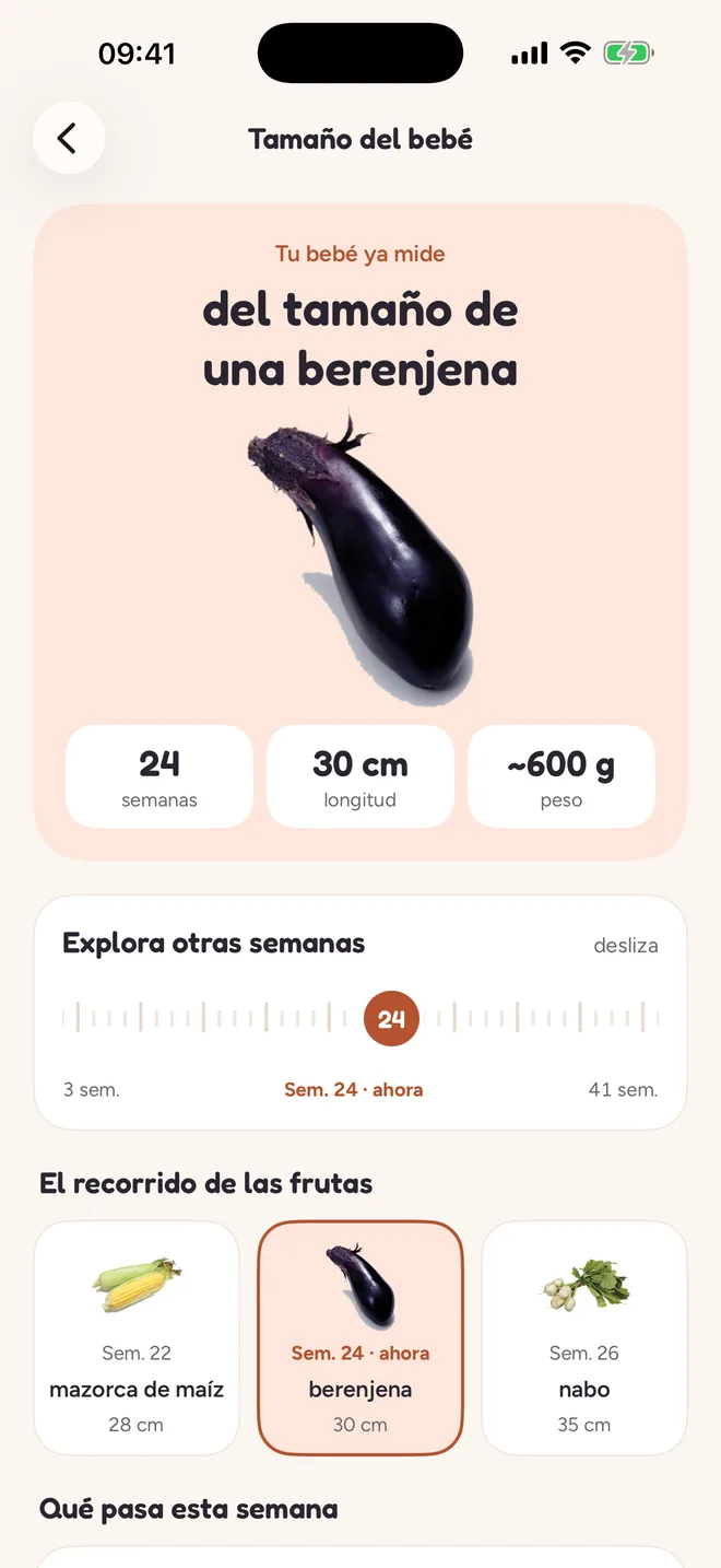 Pantalla Tamaño del bebé: semana 24, del tamaño de una berenjena, 30 cm y unos 600 g, y las otras semanas para explorar.